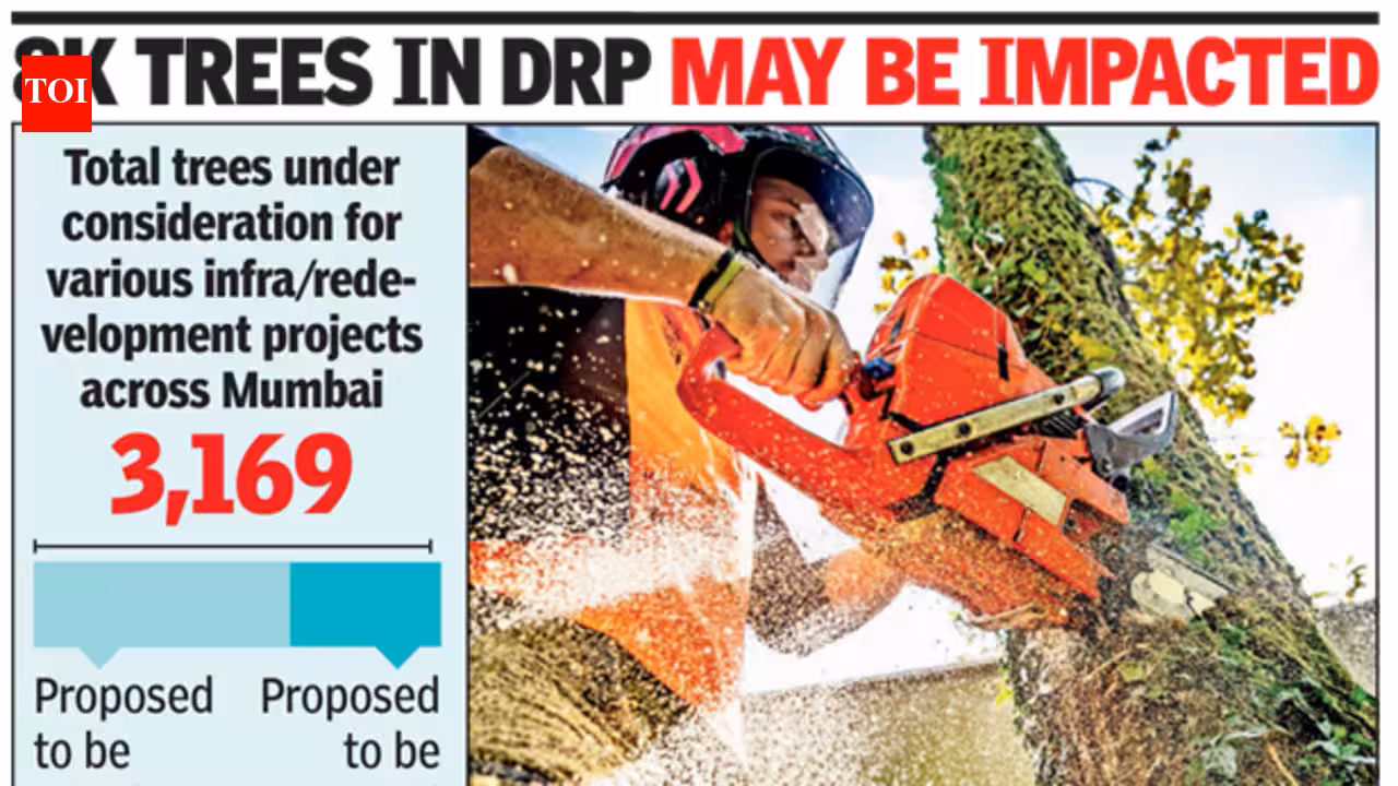 BMC tree panel to decide fate of 3,169 trees for Dharavi redevelopment & infrastructure projects in Mumbai | Mumbai News