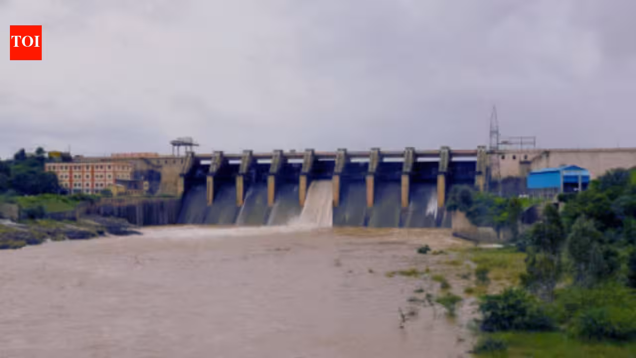 Maharashtra floats EOI for state’s first floating solar-plus-storage plant at Veer dam | Mumbai News