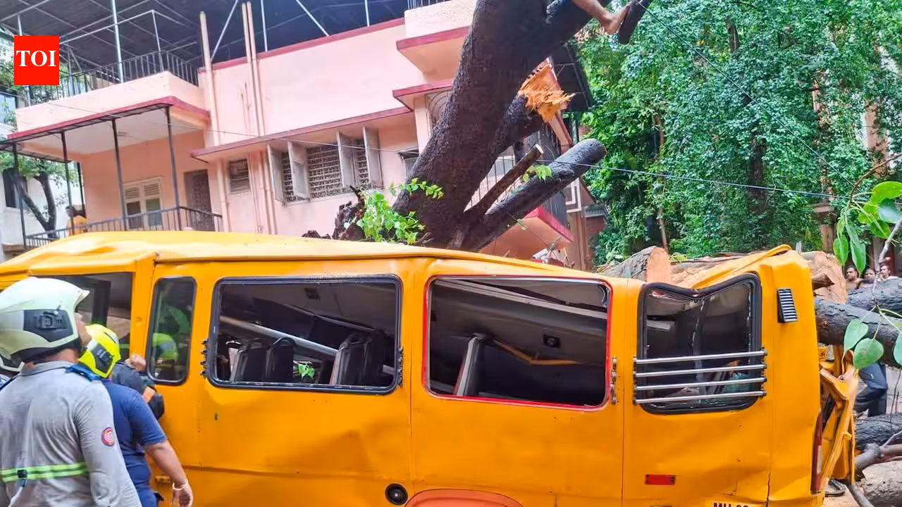 Demand grows for re-inquiry into fatal Chembur tree crash after BMC report rejected | Mumbai News
