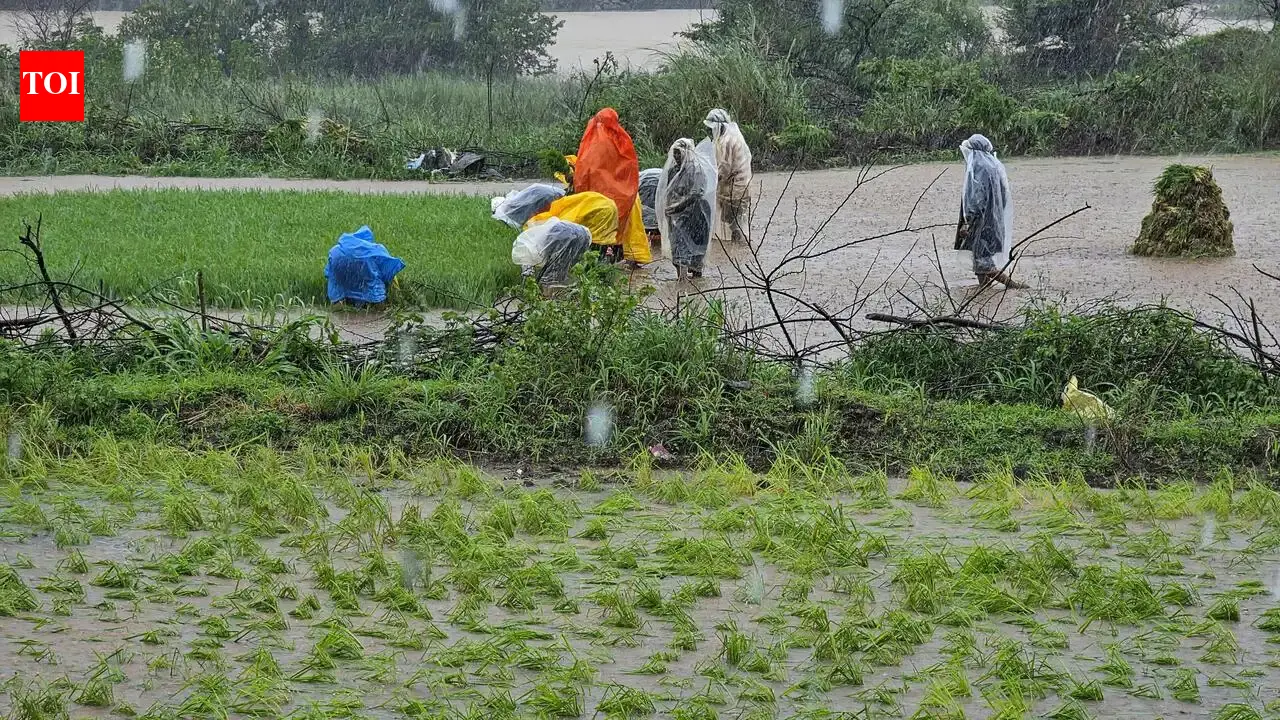 As details of tax-paying farmers emerge, loan waiver beneficiaries reduce by 1.4 lakh | Mumbai News