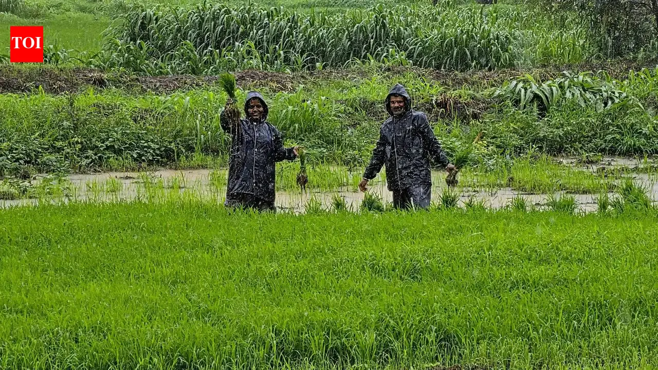 Maharashtra government clears Rs 9.9 crore for farm loan waiver publicity | Mumbai News