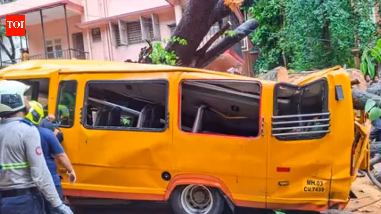 Chembur tree mishap: Ex-Mumbai University vice-chancellor to head panel for fresh probe | Mumbai News