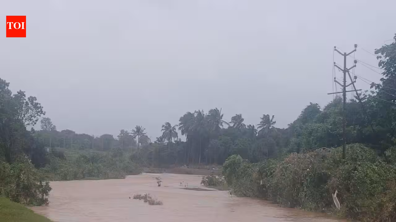 Palghar’s July rain hits 4,600+ farmers in 346 villages, damages crops on 1,205 hectares | Mumbai News