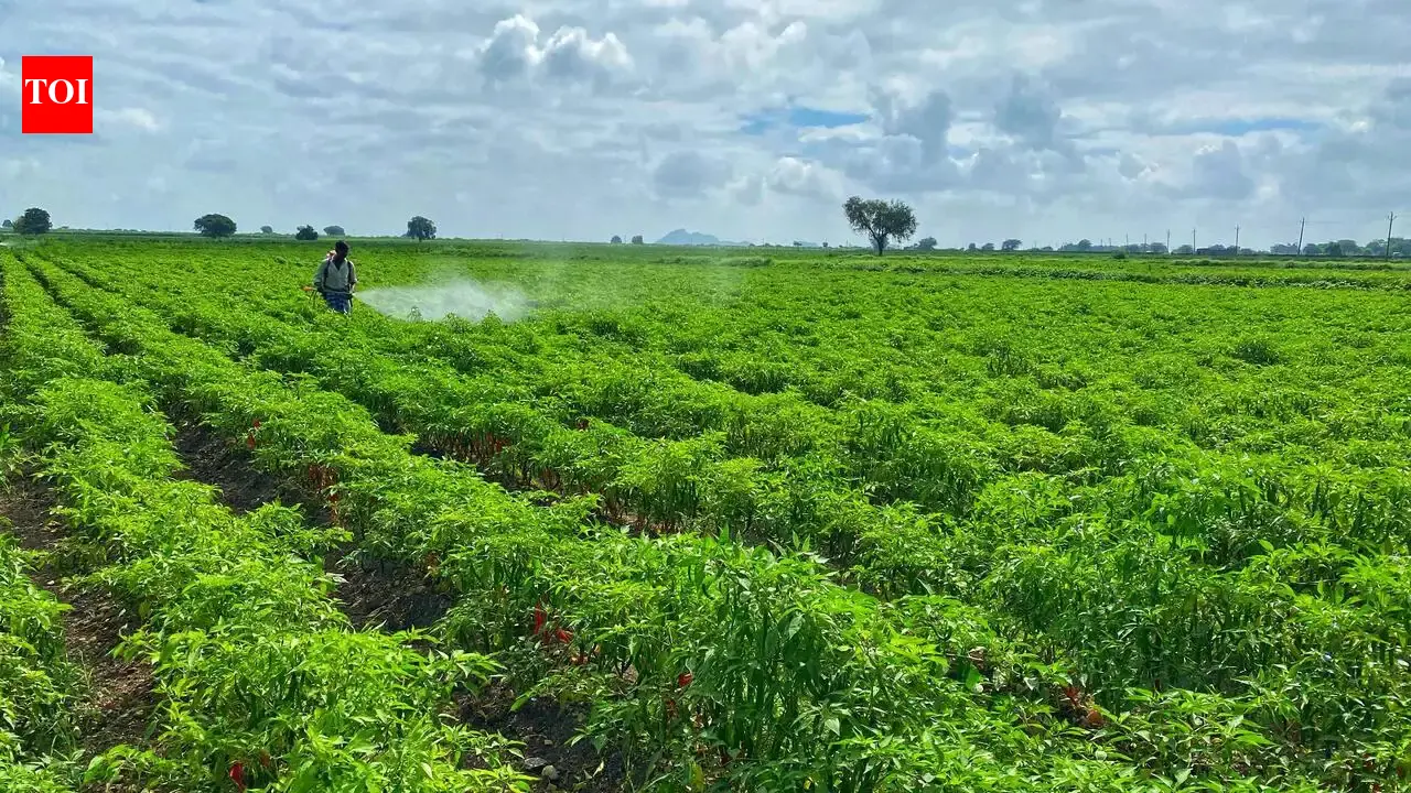 Maharashtra pauses farmer stipend for loan waiver | Mumbai News