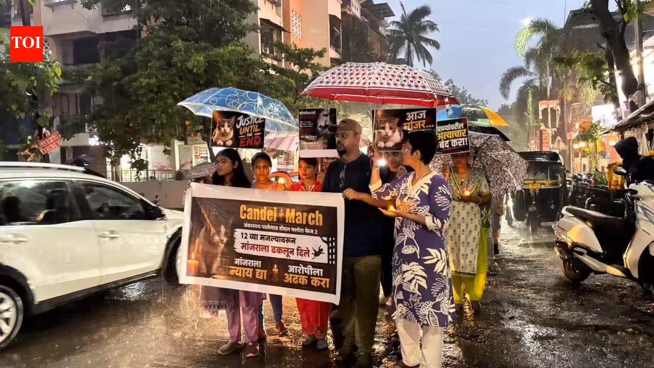 Cat thrown from 12th floor, candlelight protest at Ambernath | Mumbai News