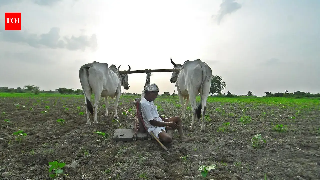 Maharashtra extends accident relief scheme for farmers | Mumbai News