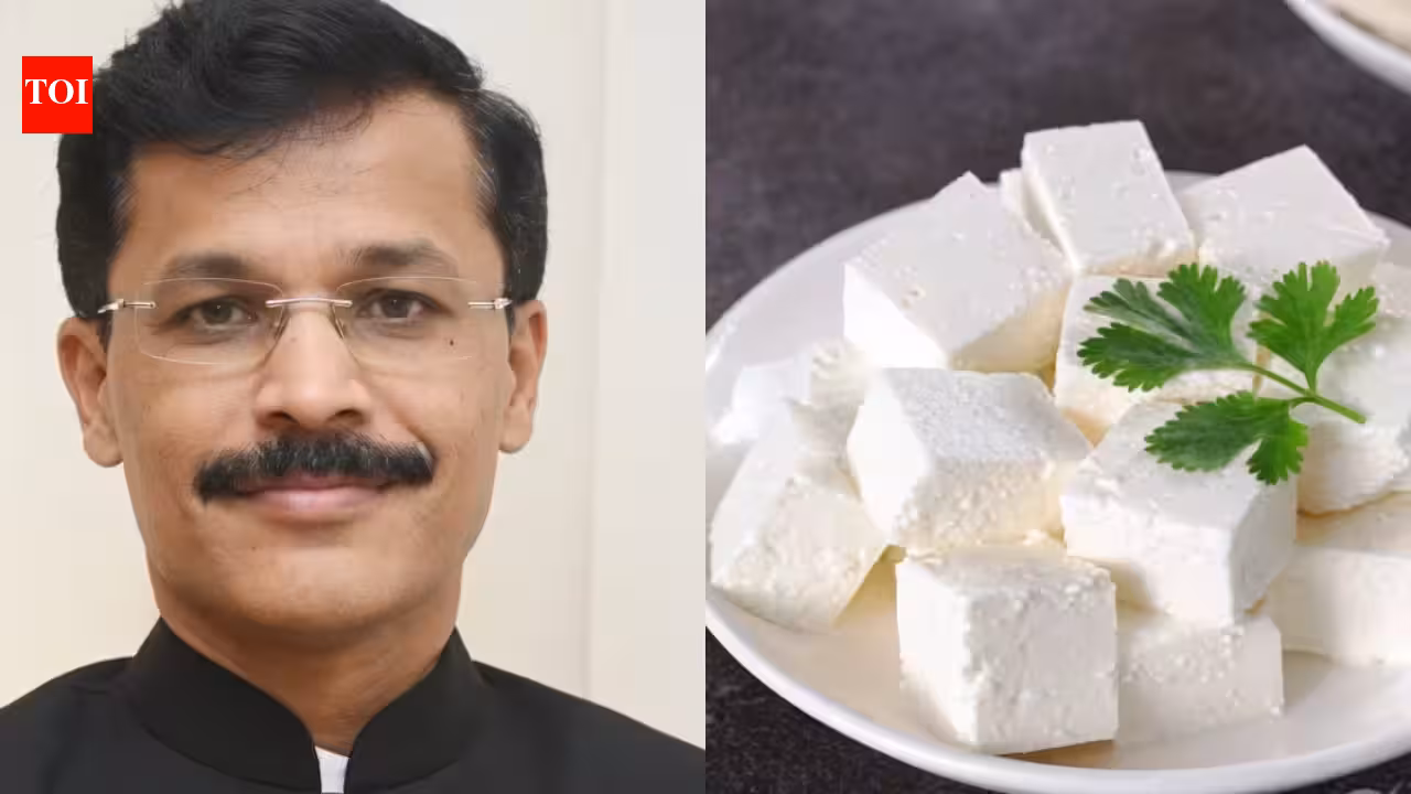 Maharashtra bans manufacture, sale of artificial cheese; strict action for passing it off as dairy paneer | Mumbai News