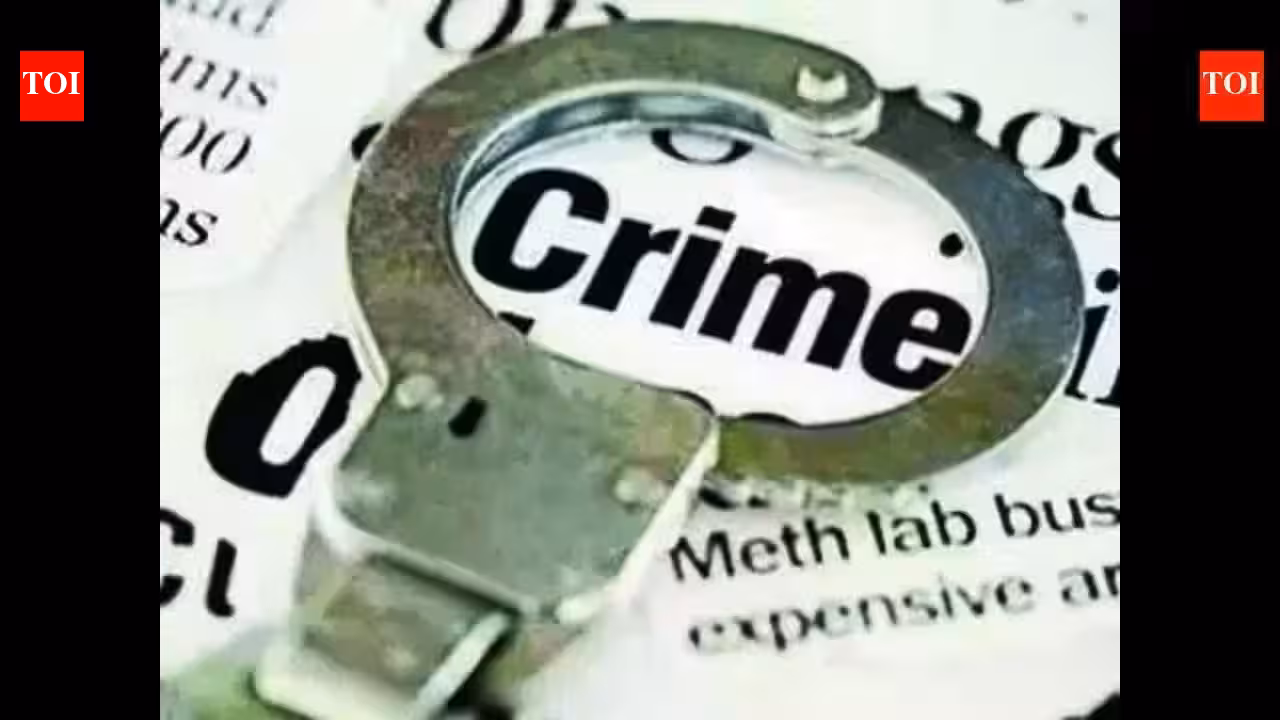 Mumbai Police Arrest Man in Goa for 2017 Andheri Scrap Dealer Murder | Mumbai News