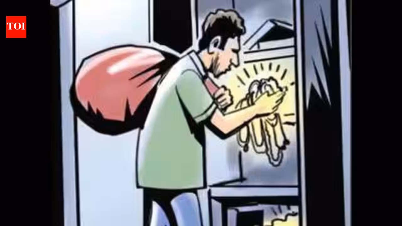 Teen in Mumbai detained for Rs 3 lakh theft at Borivli apartment, search on for associate | Mumbai News
