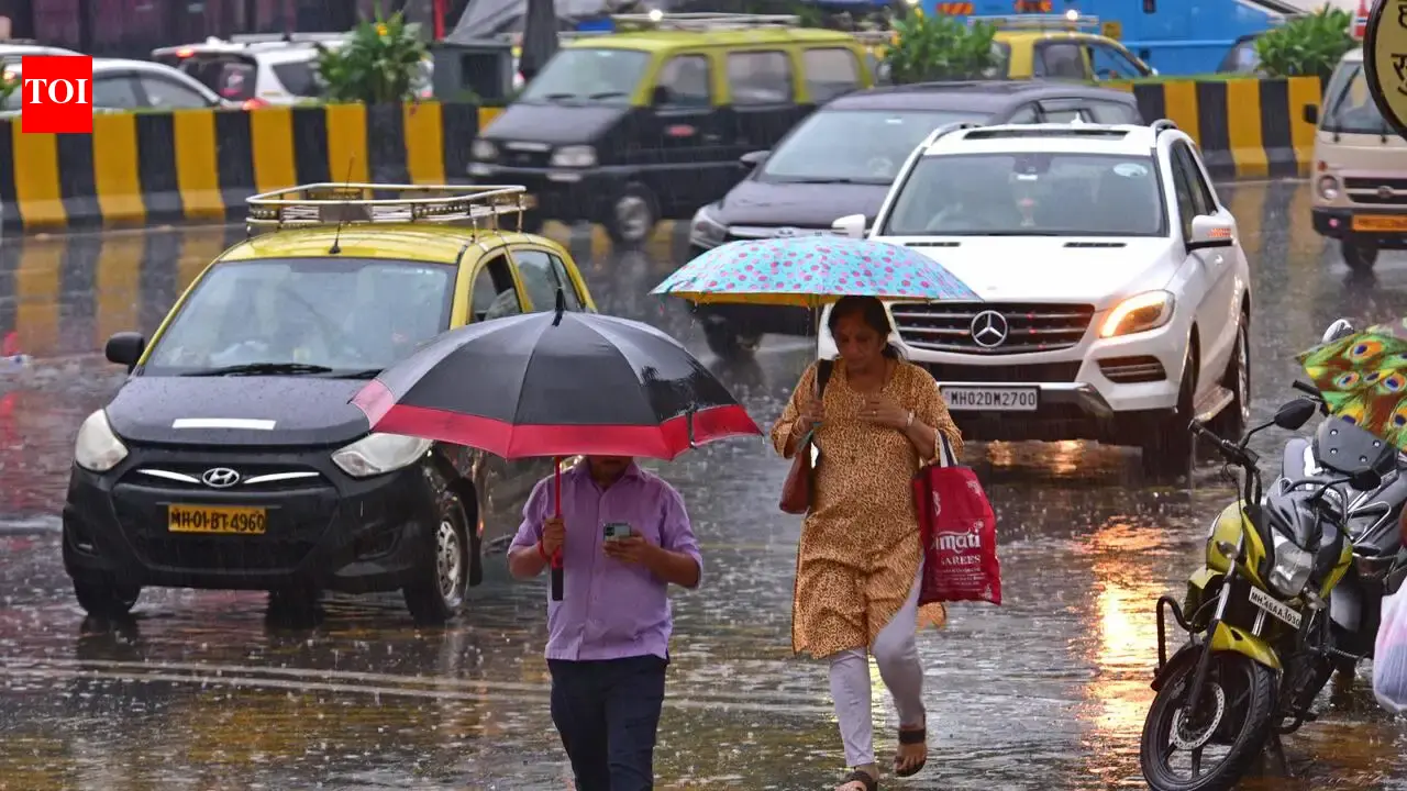 Palghar’s rain-hit residents to get Rs 39.86 crore aid from Maharashtra govt | Mumbai News