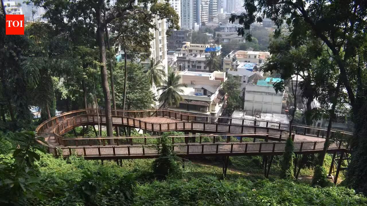 BMC proposes Rs 42 crore retaining wall work below elevated nature walkway in Kamla Nehru Park | Mumbai News