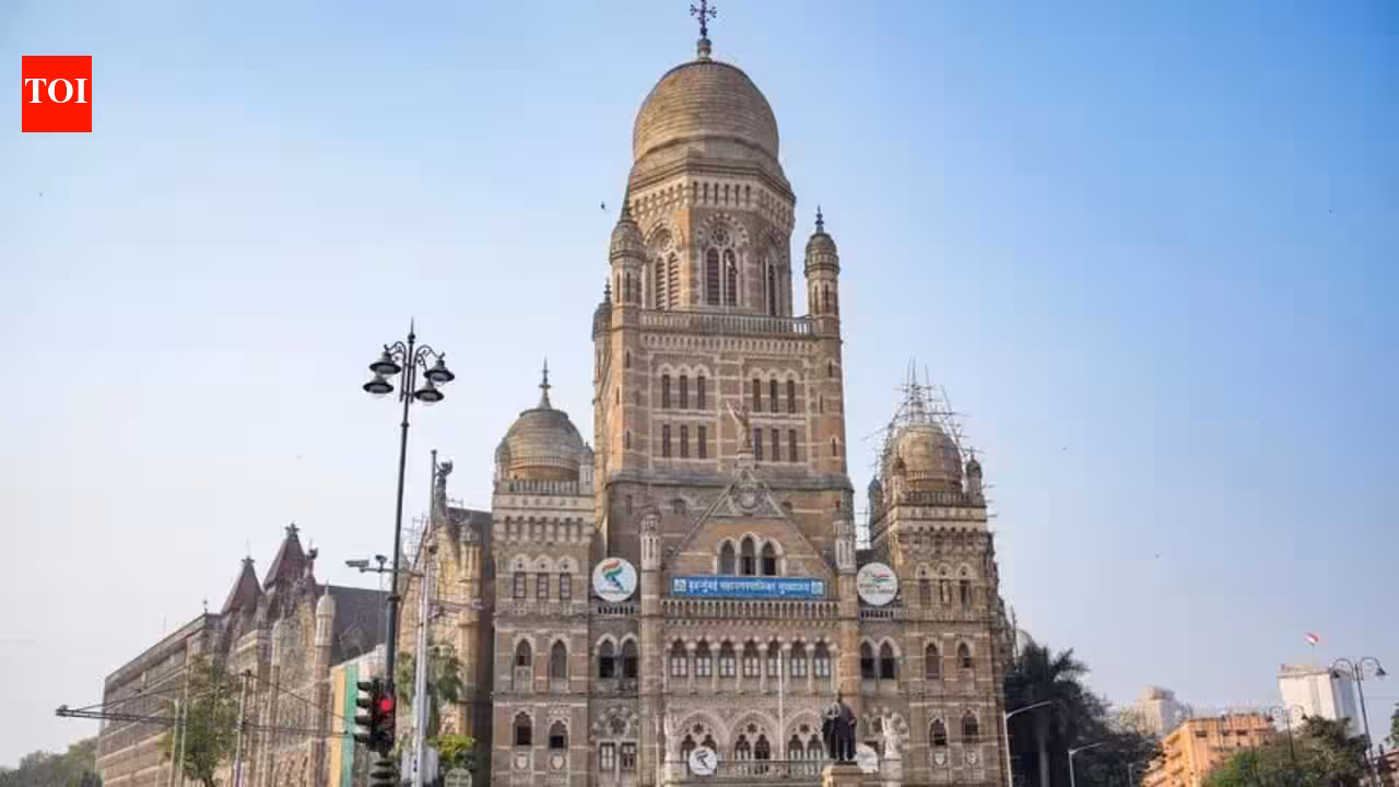 Amid complaints, BMC fixes 3-day timeframe for new birth, death certs | Mumbai News