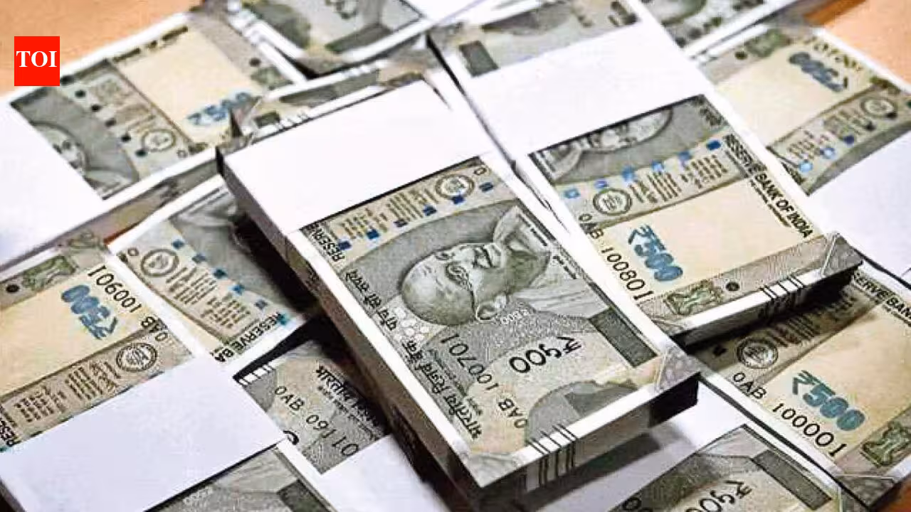 MPID Court Grants Bail to UK Businessman Nishit Patel in ₹16.24 crore Javed Jaffery Cheating Case