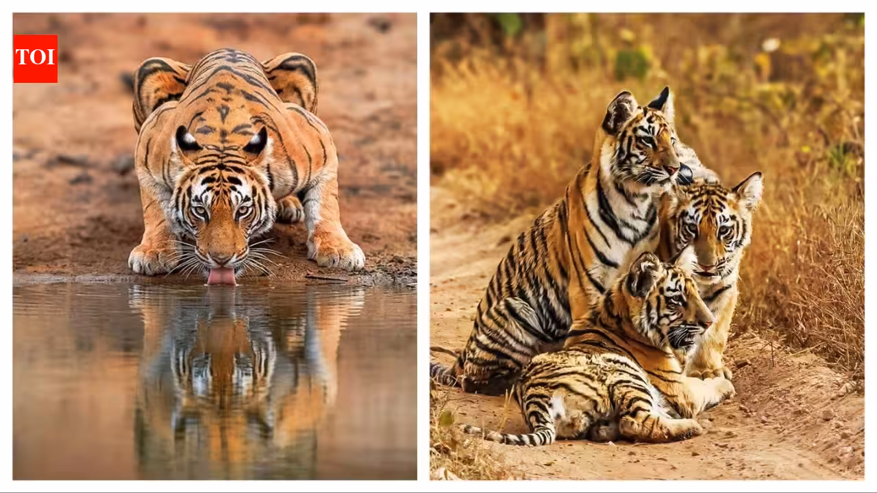 Every great wildlife shot tells a story