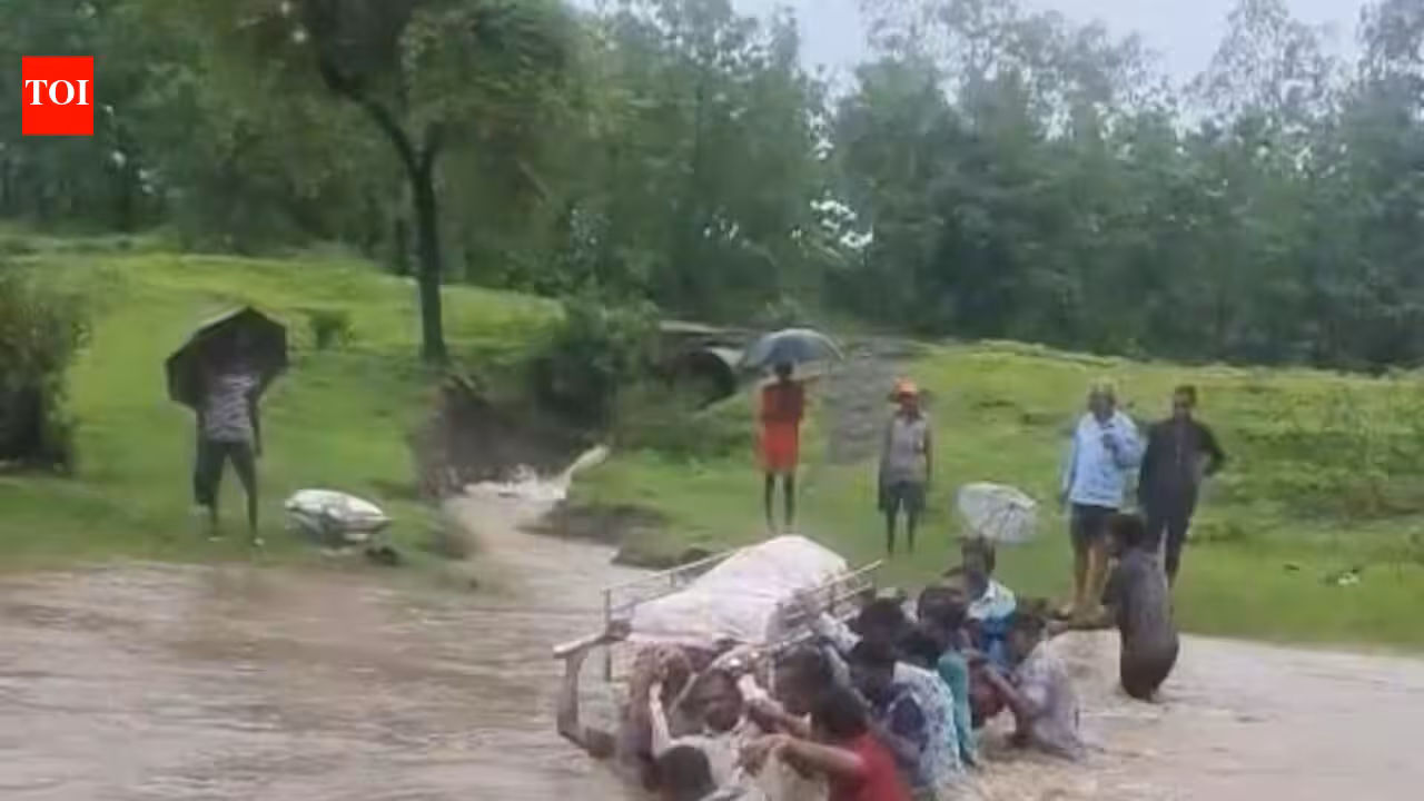 Dahanu bridge project stalled due to lack of funds, says zilla parishad after TOI report on family carrying body across swollen river to cremation ground